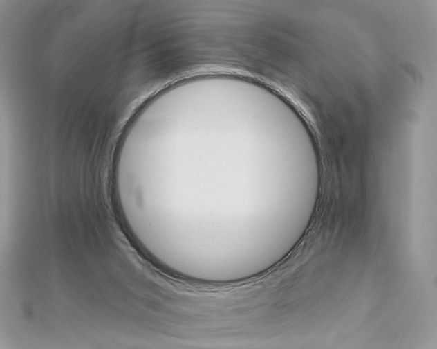 X0000113060015200908280958