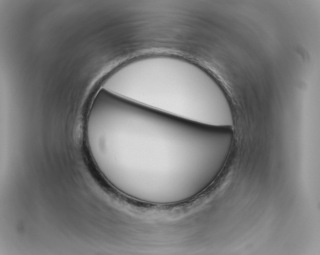 X0000113060016200908280958