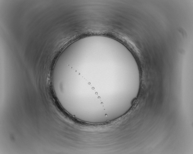 X0000113060017200908280958