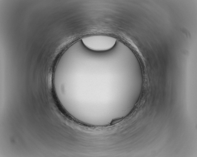 X0000113060019200908280957