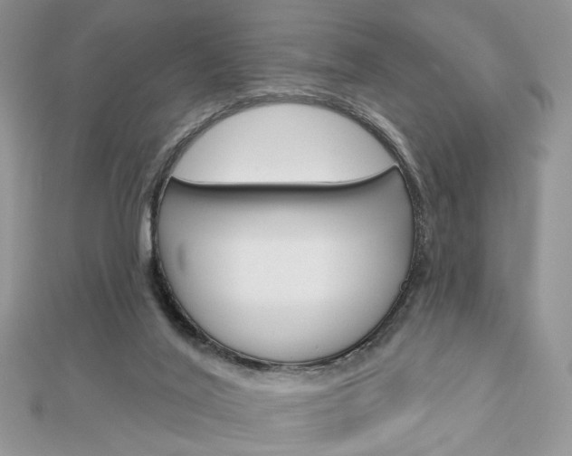 X0000113060020200908280957