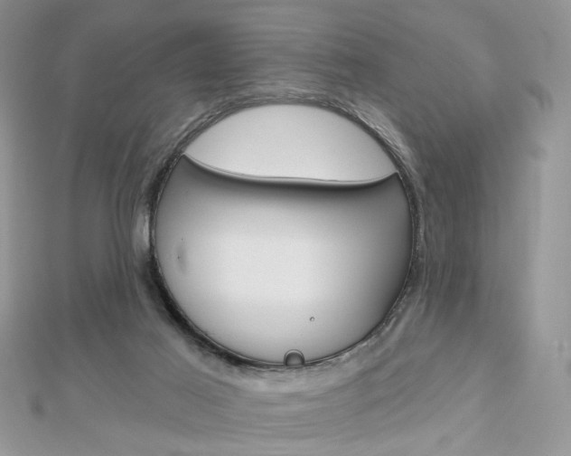X0000113060021200908280957