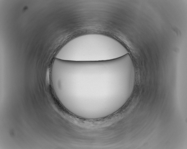 X0000113060022200908280957