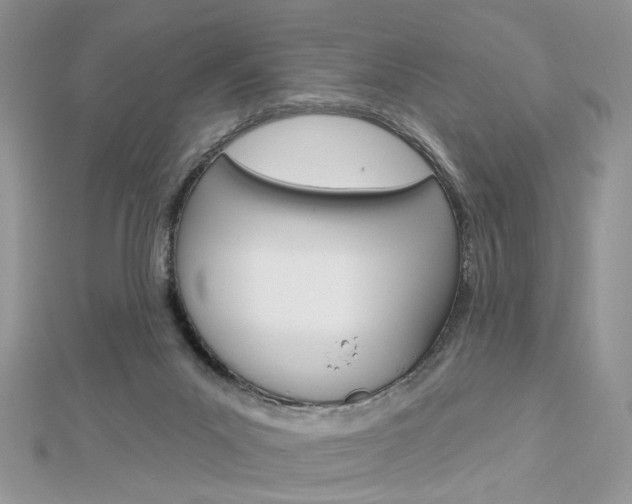X0000113060023200908280957
