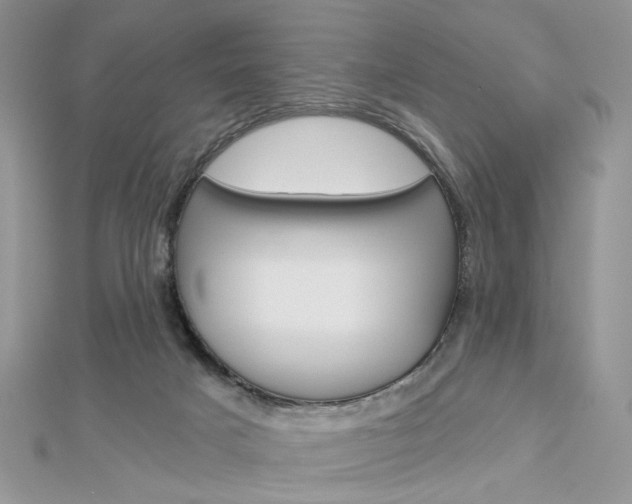 X0000113060025200908280957
