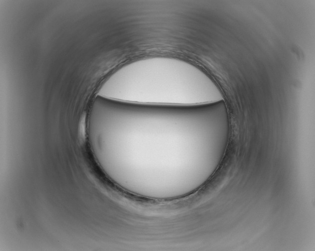 X0000113060028200908280957