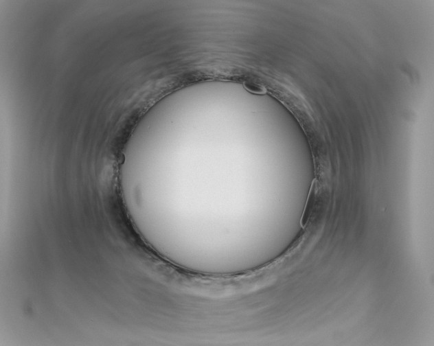 X0000113060029200908280957