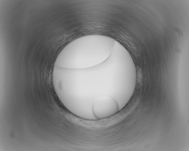 X0000113060030200908280957