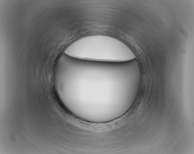 X0000113060031200908280957