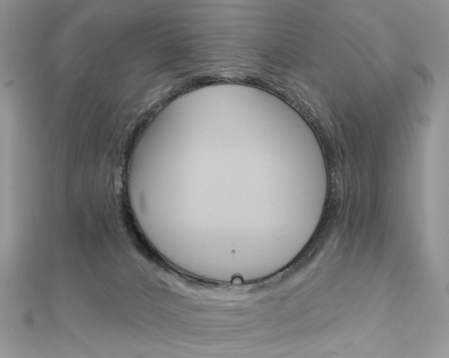 X0000113060032200908280957