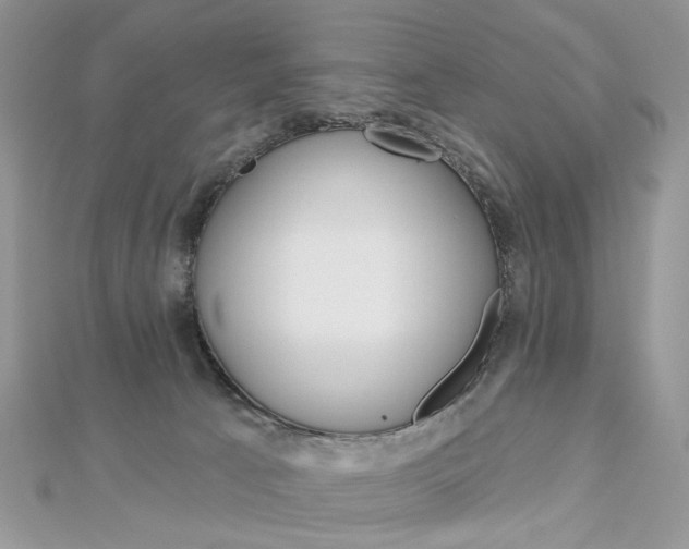 X0000113060033200908280957