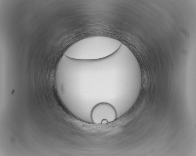 X0000113060034200908280957