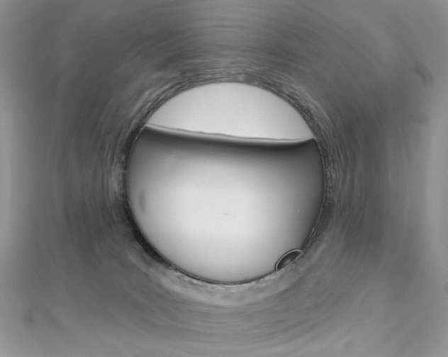 X0000113060035200908280957