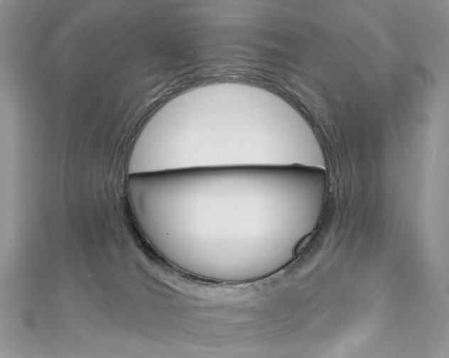X0000113060036200908280957
