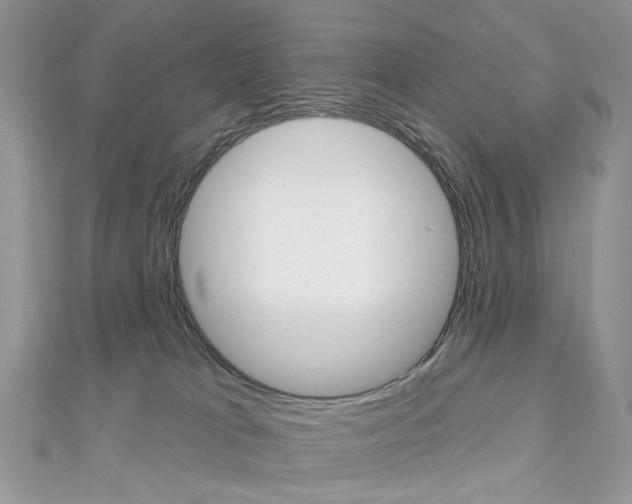 X0000113060037200908280957