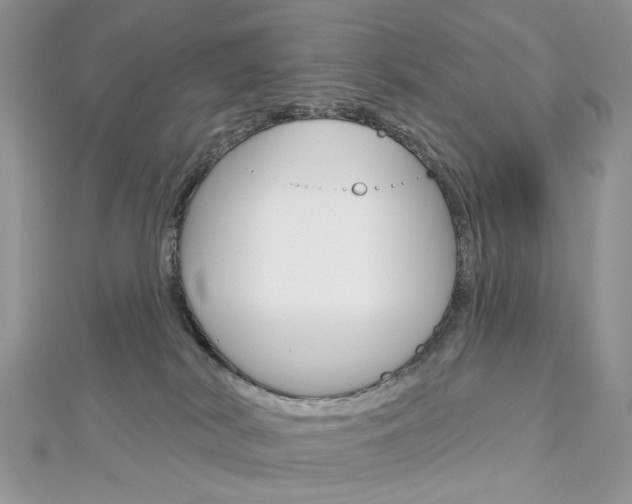 X0000113060038200908280957