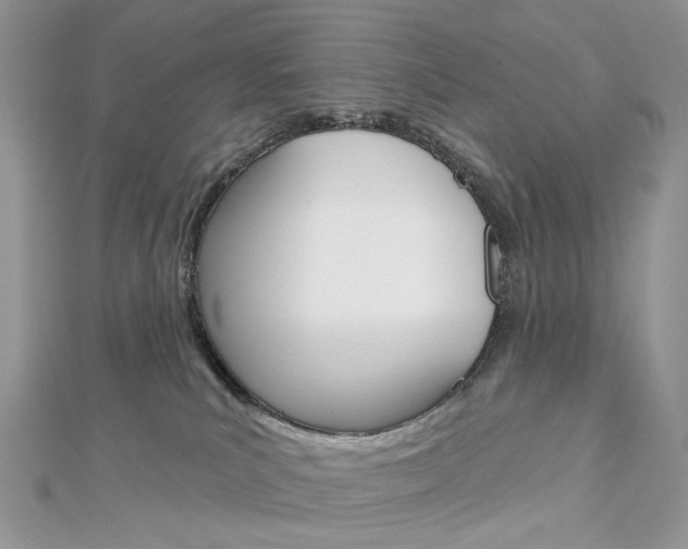 X0000113060039200908280957