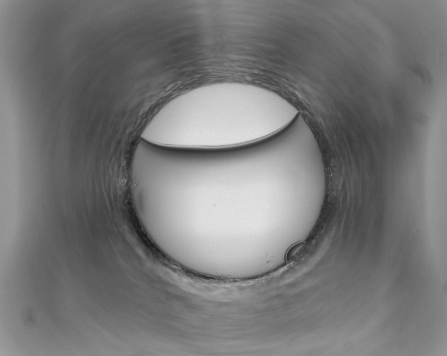 X0000113060040200908280957