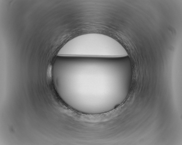 X0000113060041200908280957