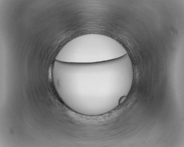 X0000113060042200908280957