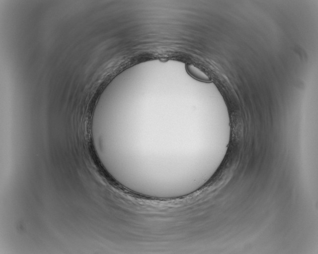 X0000113060044200908280957