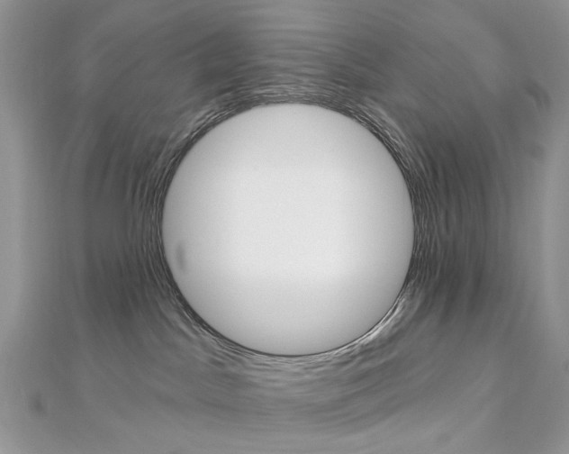 X0000113060045200908280957