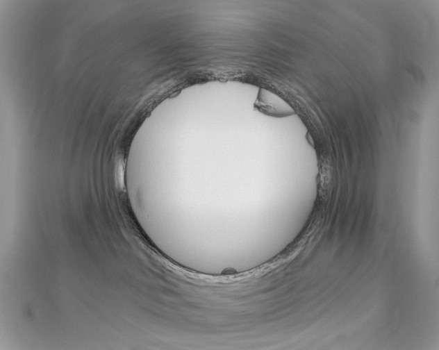X0000113060046200908280957