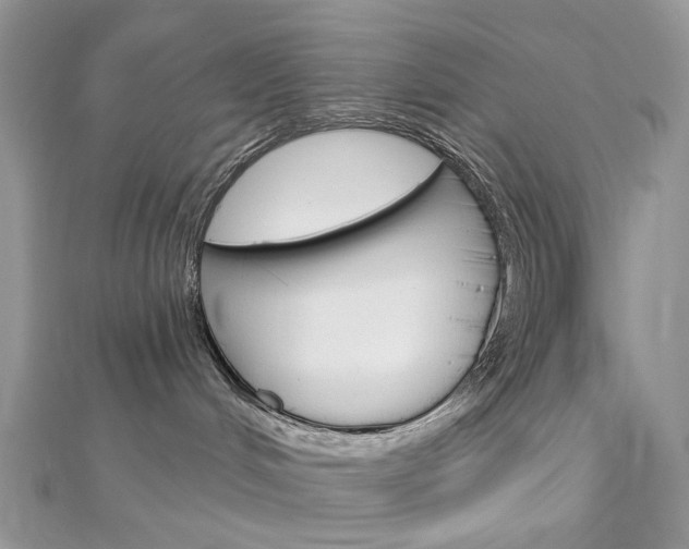 X0000113060048200908280957