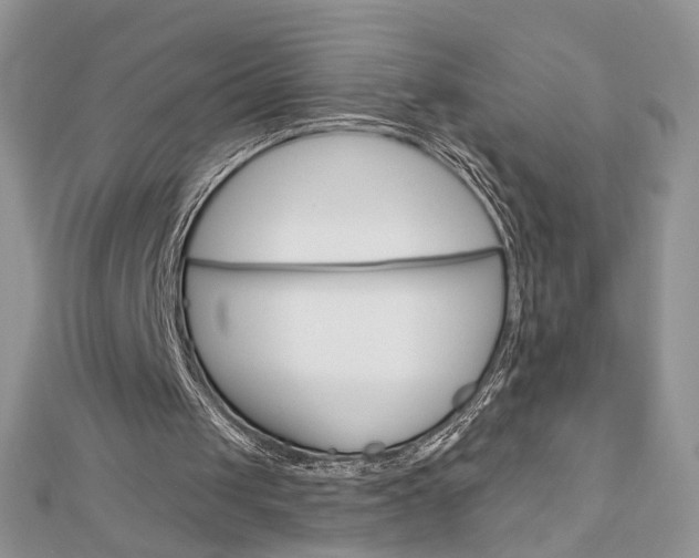 X0000113060049200908280956