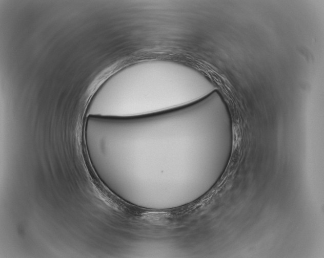 X0000113060051200908280956