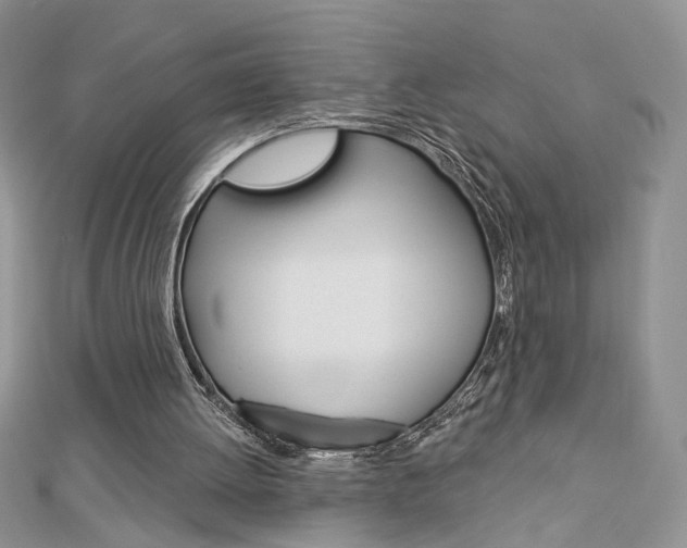 X0000113060052200908280956