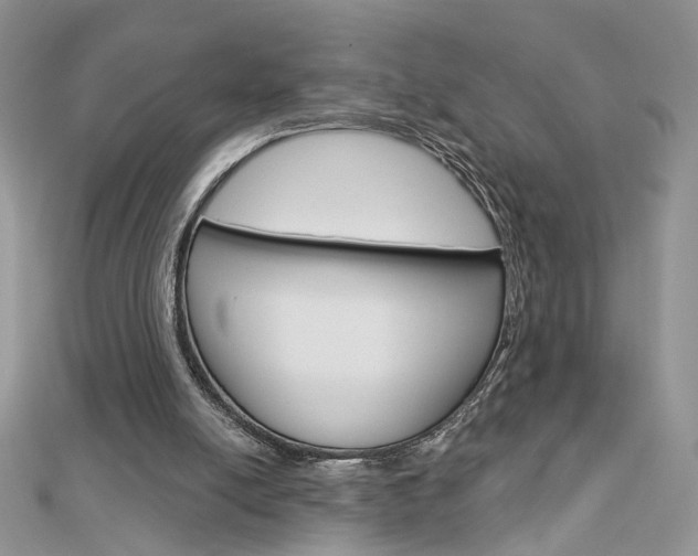 X0000113060054200908280956