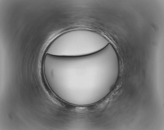 X0000113060055200908280956