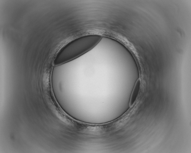 X0000113060057200908280956