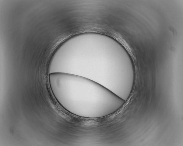 X0000113060058200908280956