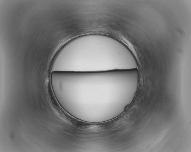 X0000113060059200908280956