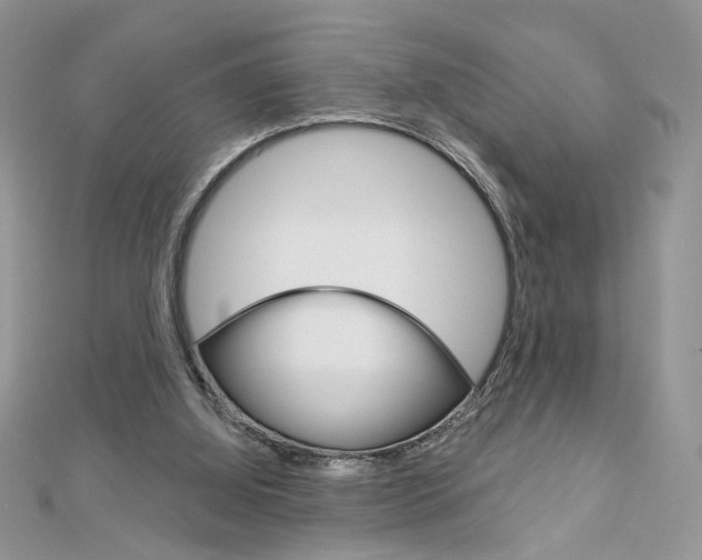 X0000113060060200908280956