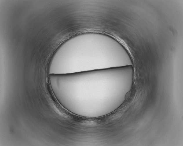 X0000113060061200908280956