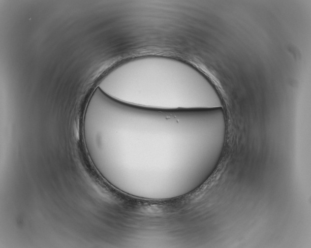X0000113060062200908280956
