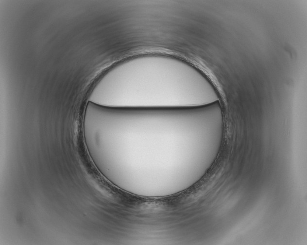 X0000113060063200908280957
