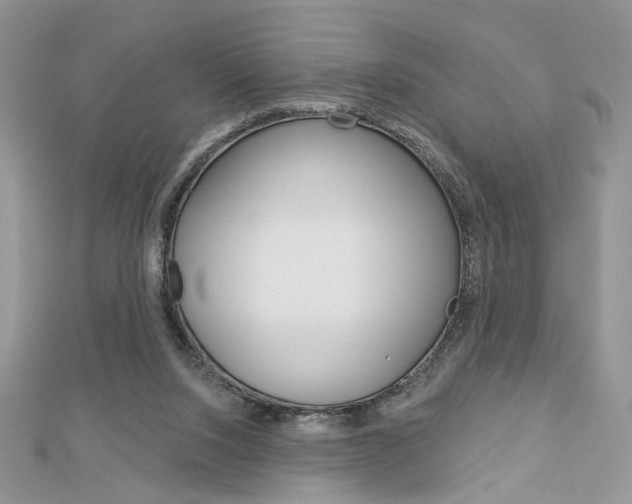 X0000113060064200908280957