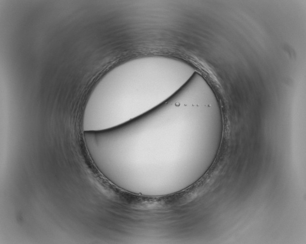 X0000113060065200908280957