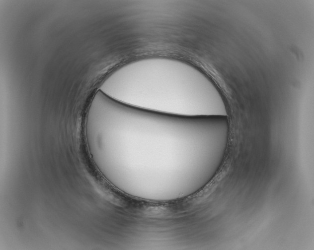 X0000113060066200908280957