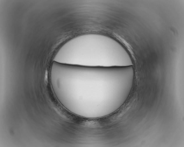 X0000113060067200908280957