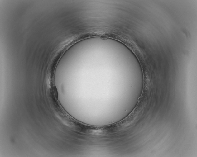 X0000113060068200908280957