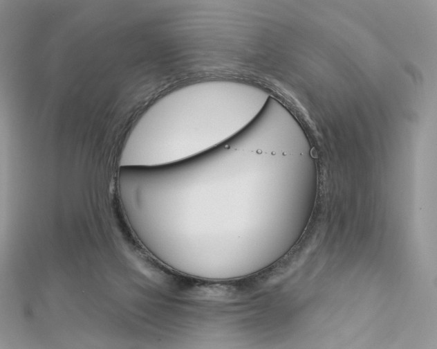 X0000113060069200908280957