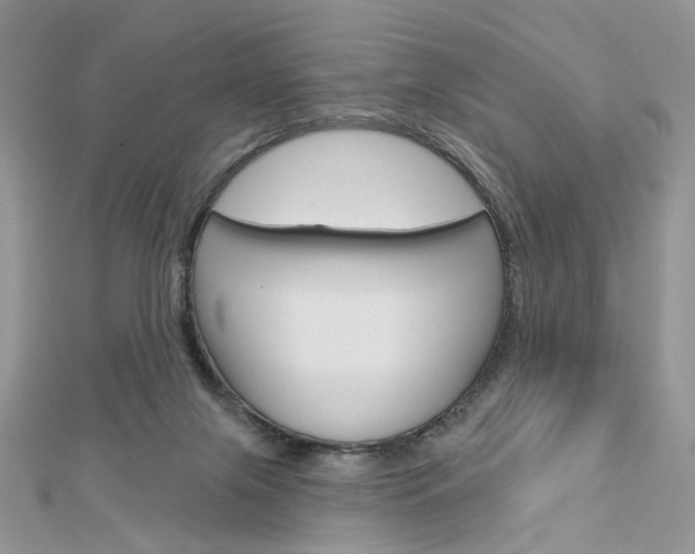 X0000113060071200908280957