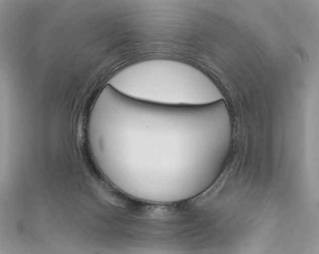 X0000113060074200908280957