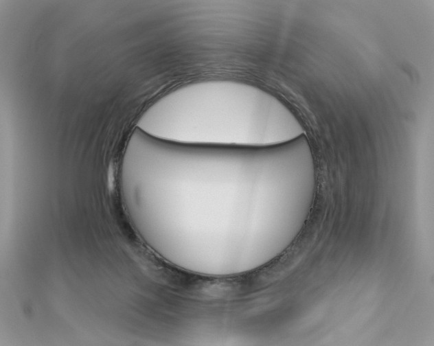 X0000113060075200908280957