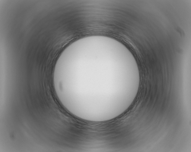 X0000113060076200908280957